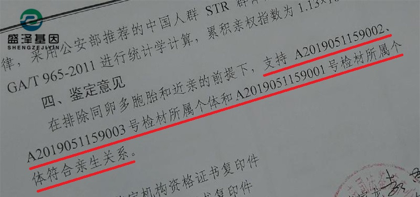 DNA親子鑒定報告究竟長啥樣？怎么看？