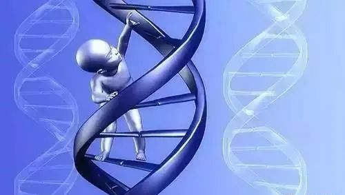 無創產前基因檢測（NIPT）到底有什么作用？