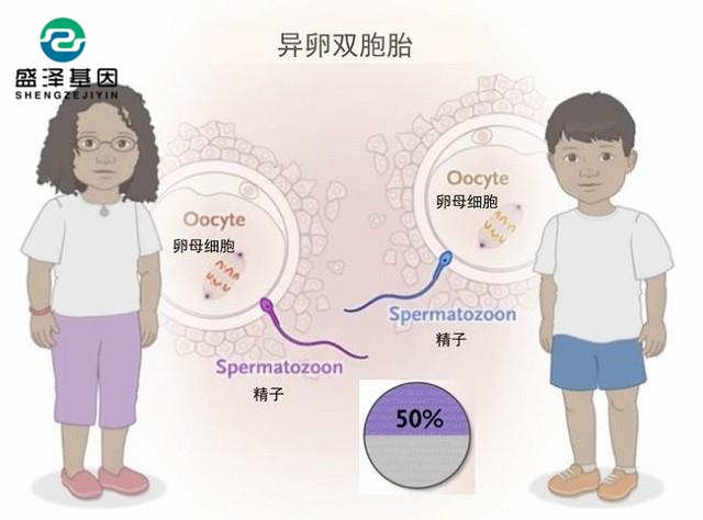 雙胞胎越長(zhǎng)越不像，寶爸決定做親子鑒定！