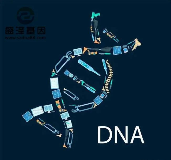 醫(yī)學(xué)怪病奇美拉現(xiàn)象：親自生未必是親生？你身體還住著另一個(gè)人？