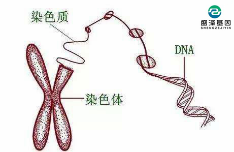 個人隱私親子鑒定可以保密嗎？怎么選擇司法親子鑒定機(jī)構(gòu)？