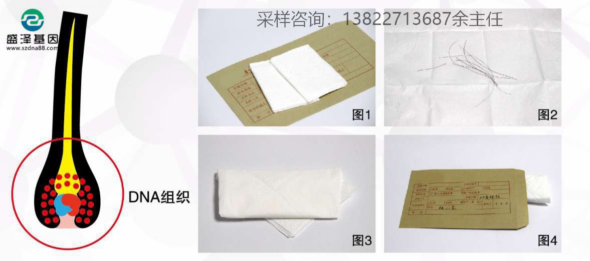 個人親子鑒定簡單采樣方法指導（血痕、口腔拭子、毛發）