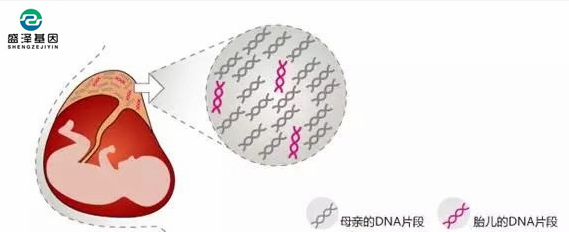 中山隱私親子鑒定所：單眼皮基因夫妻能生出雙眼皮寶寶嗎？
