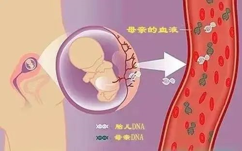 東莞哪家胎兒親子鑒定準(zhǔn)確？（無創(chuàng)胎兒、羊水、絨毛）