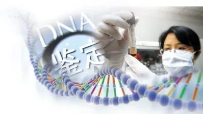 母子親子鑒定哪里檢測(cè)？