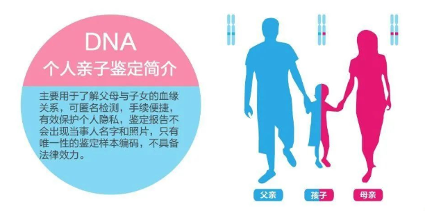 中山東區(qū)司法親子鑒定中心給客戶做親子鑒定準(zhǔn)確率如何？