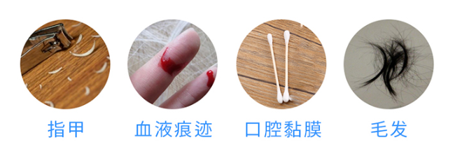 懷孕多久可以做無創胎兒親子鑒定樣本采集? 懷孕多久可以做無創胎兒親子鑒定樣本采集?