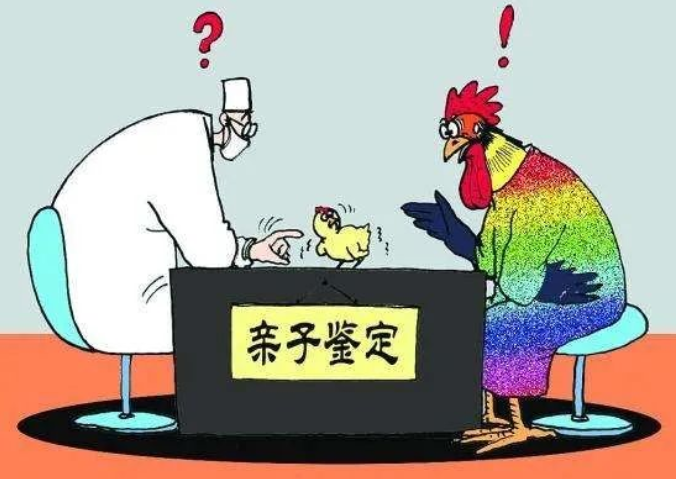 親子鑒定人數(shù)逐年上升，透過現(xiàn)象看本質(zhì)：親子鑒定折射信任危機