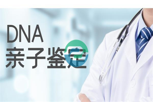 中山親子鑒定的基本流程
