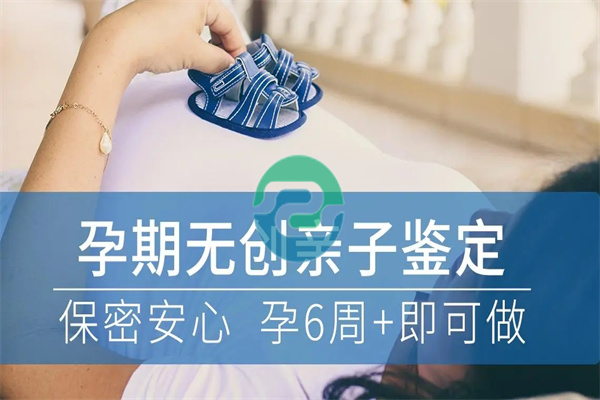 懷孕期間如何進行中山親子鑒定？