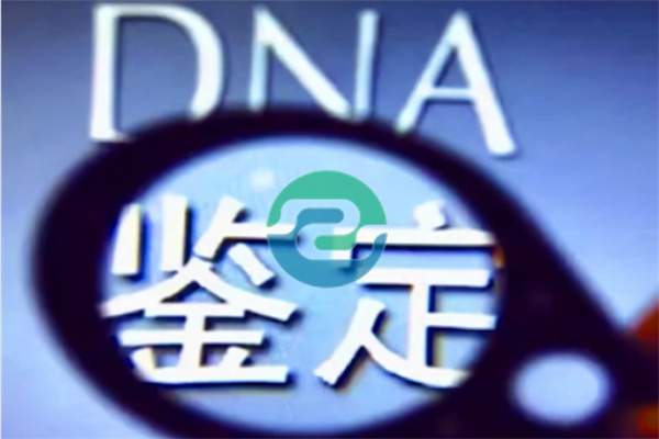 如何做具有法律效力的中山親子鑒定？