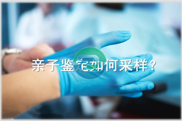 如何找到正規的中山親子鑒定中心呢？