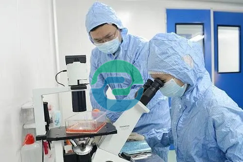 2025年的中山親子鑒定預約過程比較方便