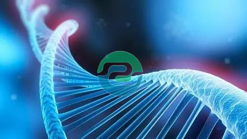 中山親子鑒定的費(fèi)用是多少？需要什么？